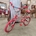 Bicicleta Derbi Panther BMX - Imagen 1