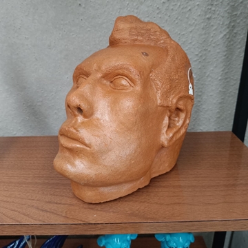 Cabeza busto masculino - Imagen 1