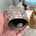 Campana antigua de mesa - Imagen 2