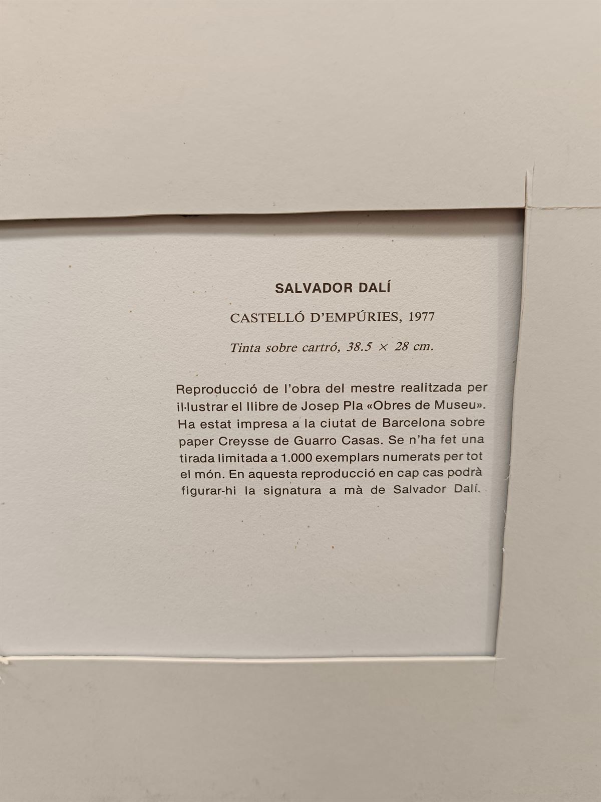 Cuadro lámina Salvador Dalí Castelló D'Empuries - Imagen 8