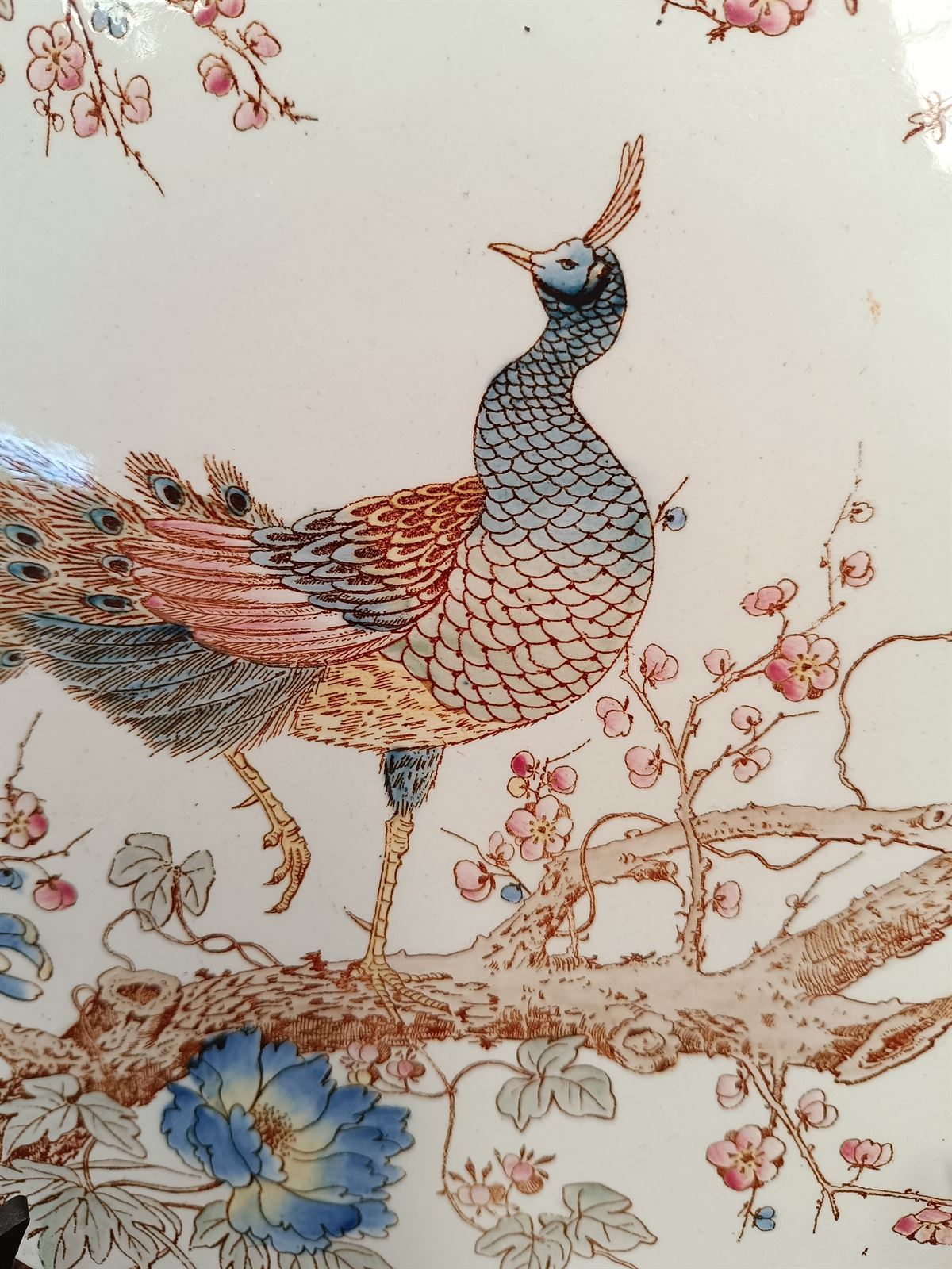 Mayólica pavo real años 30 - Imagen 3